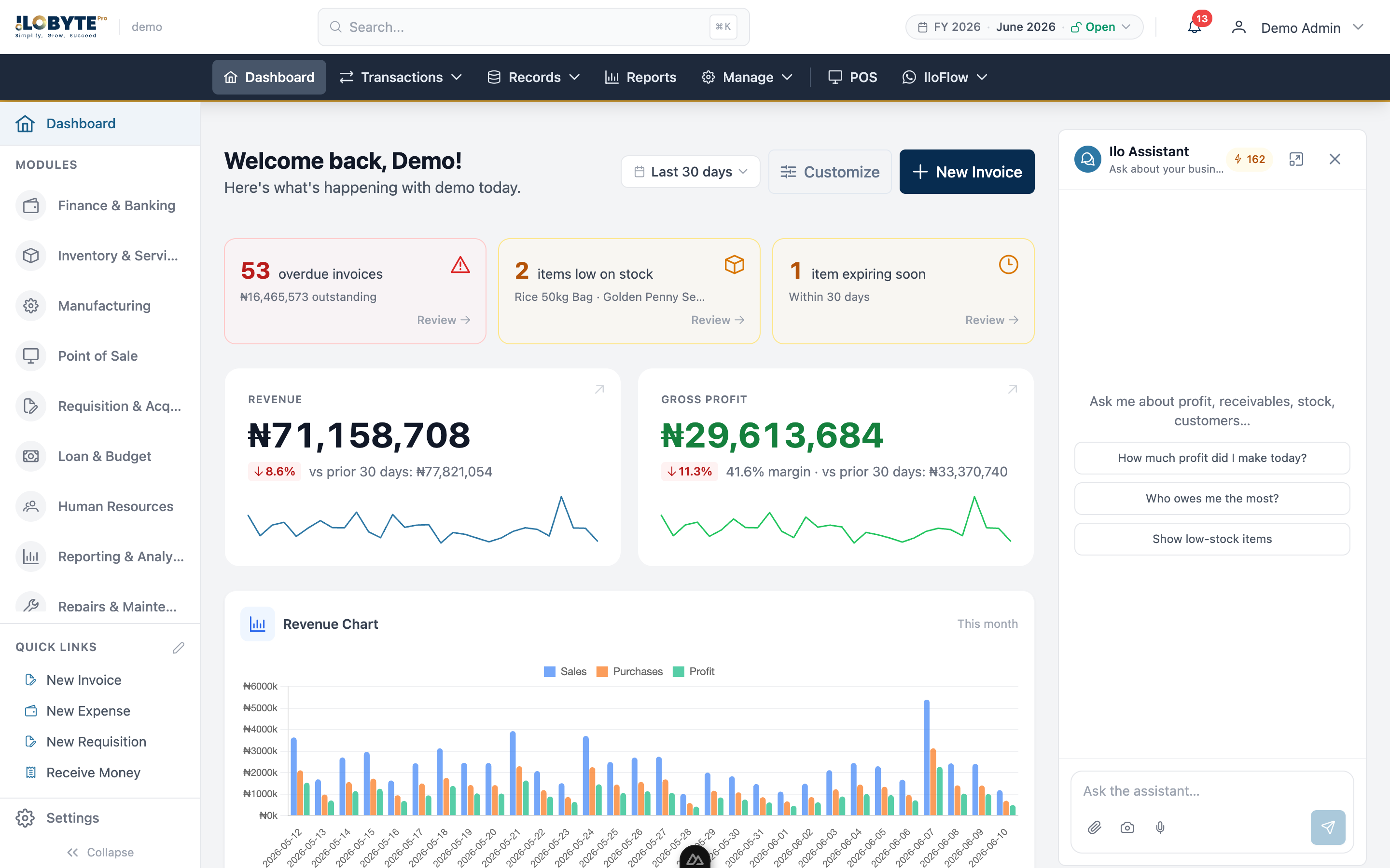 IloByte Pro dashboard — revenue, gross profit, cash and alerts at a glance